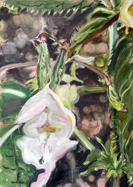 Tanja Selzer – 2025 - Sweet Pollination