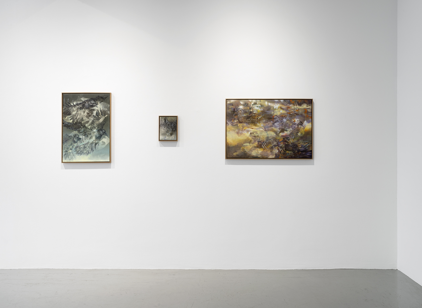 Artemisia – Ansicht 8