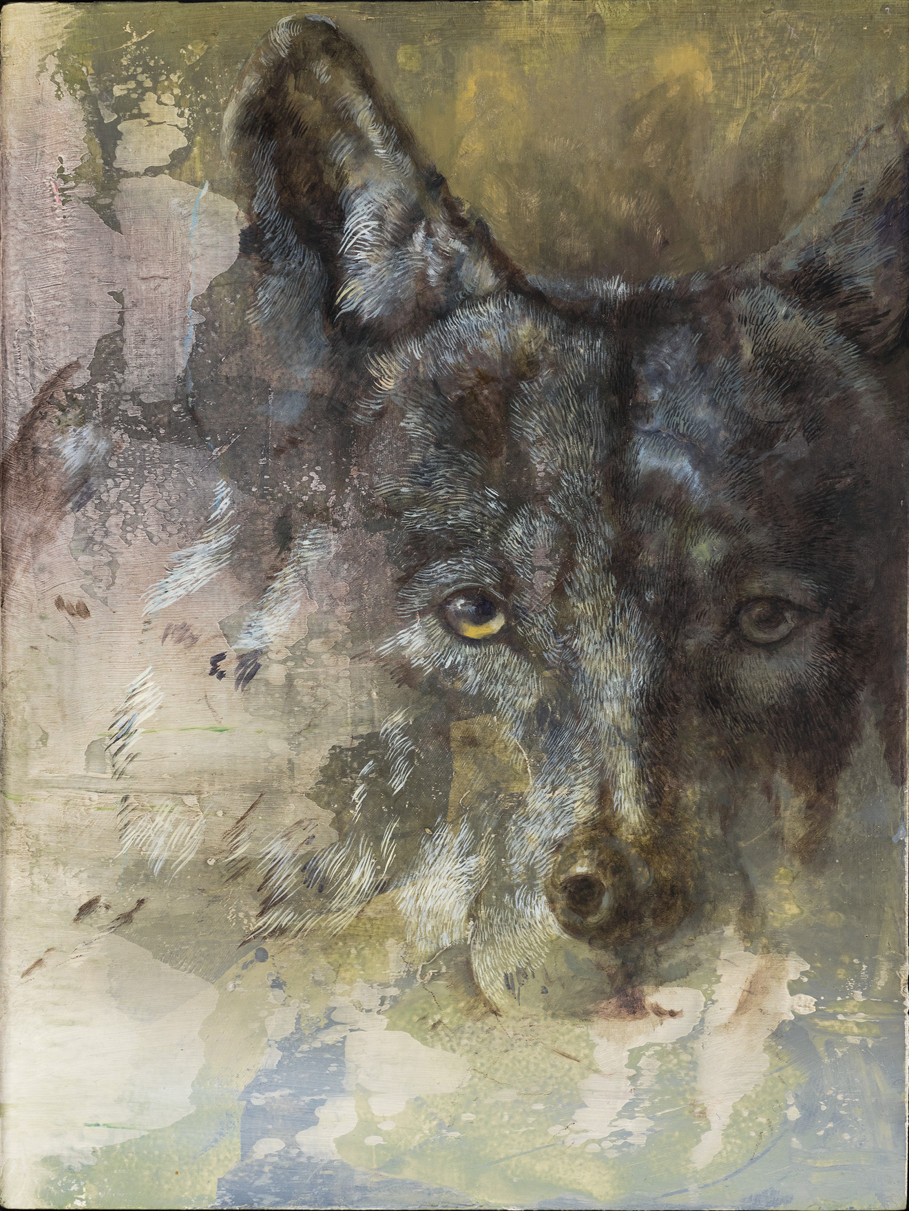 Isabelle Dutoit – 2023 - Wolf (grau)