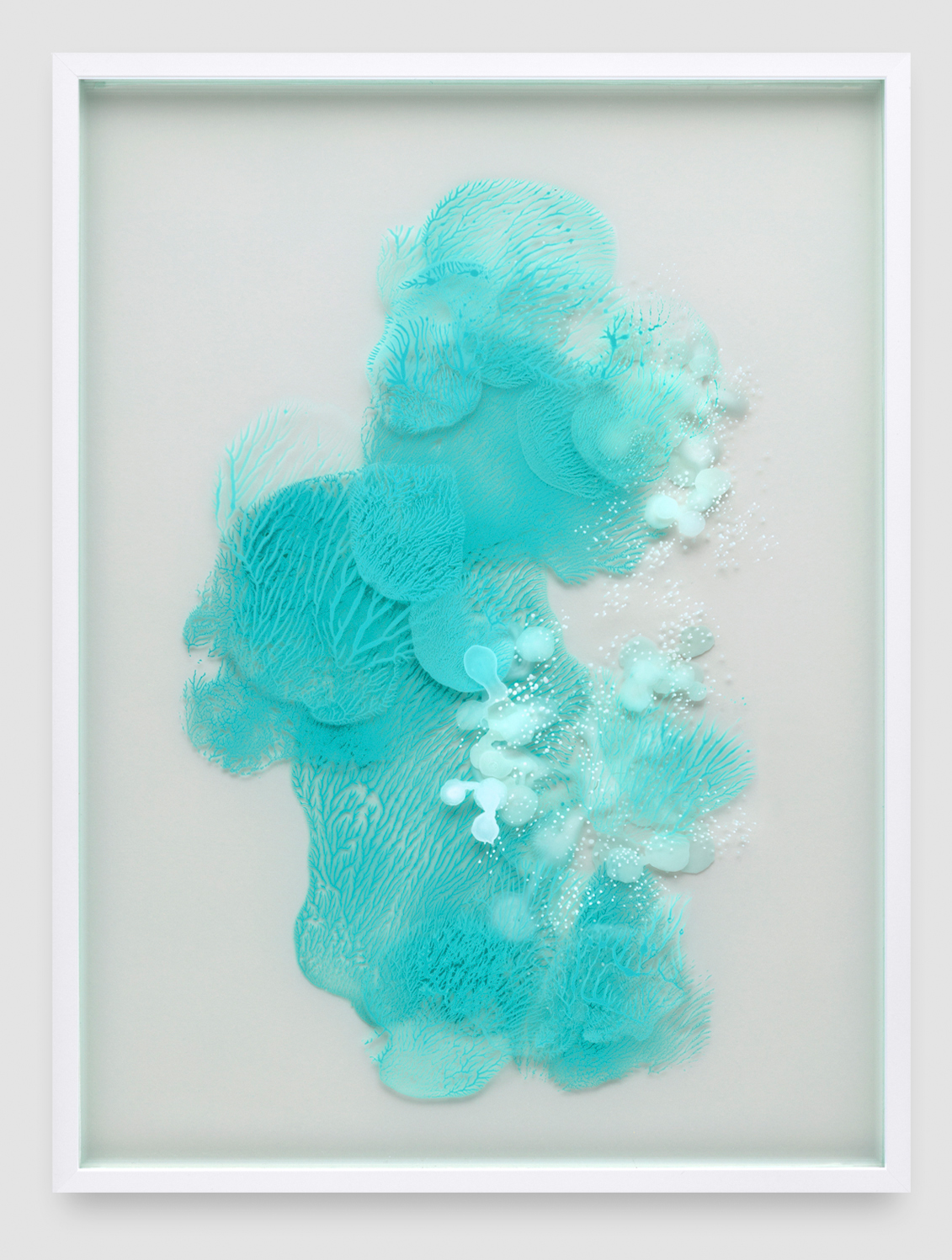 Susanne Wurlitzer – 2026 - Nano 54